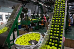 A Company Making Tennis Balls, Pinterest